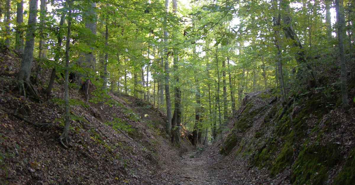 Piste de Natchez